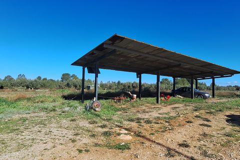 Finca i Ginestar, Tarragona, Ginestar - € 210.000 | Ref: CC837 - foto 29